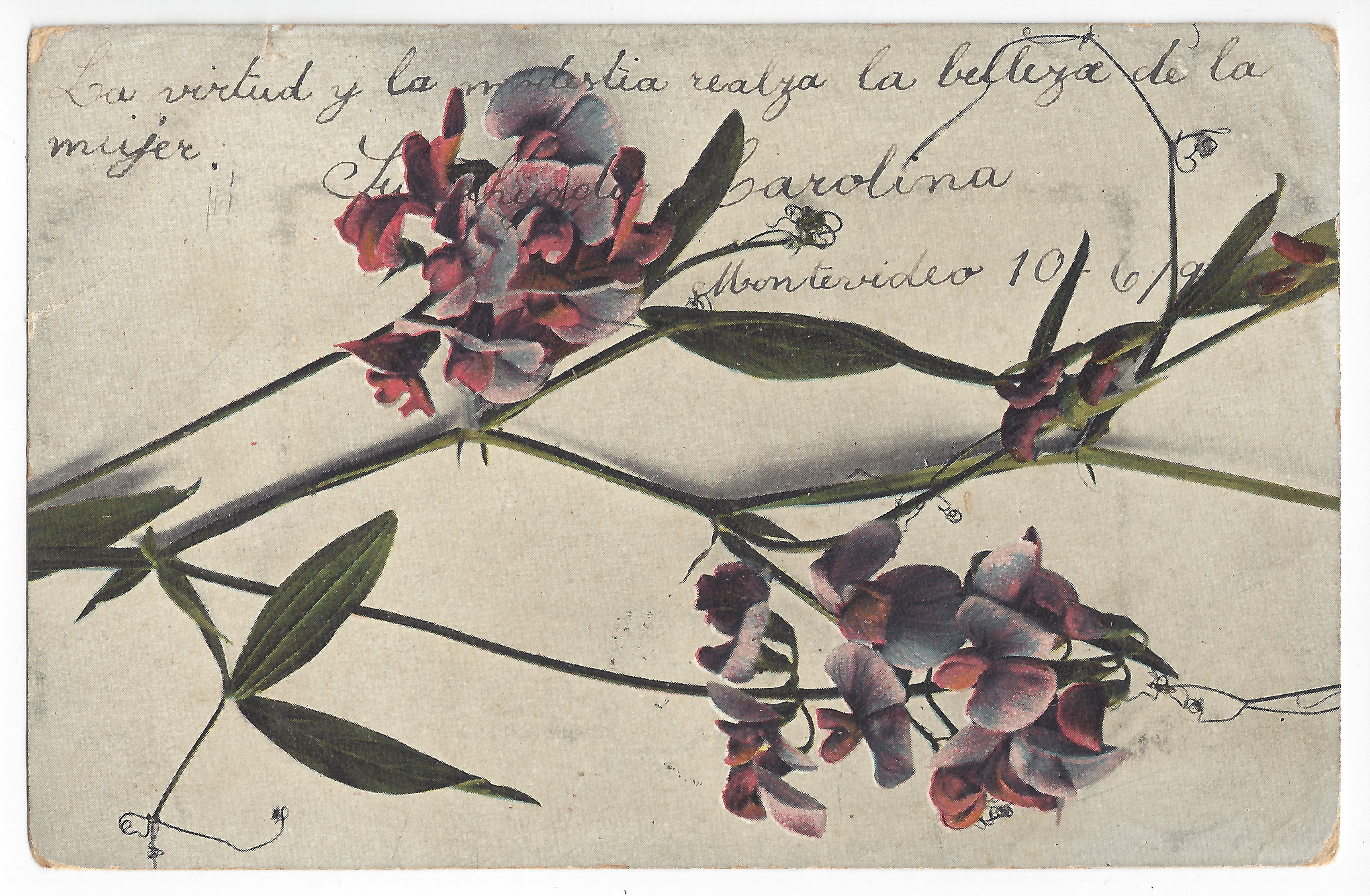 Flowers; color; handwritten text.